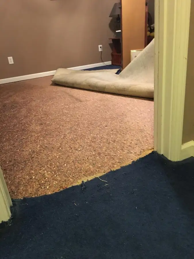 Carpet pad removal revealing water damage during Drying & Dehumidification in Tamalpais-Homestead Valley